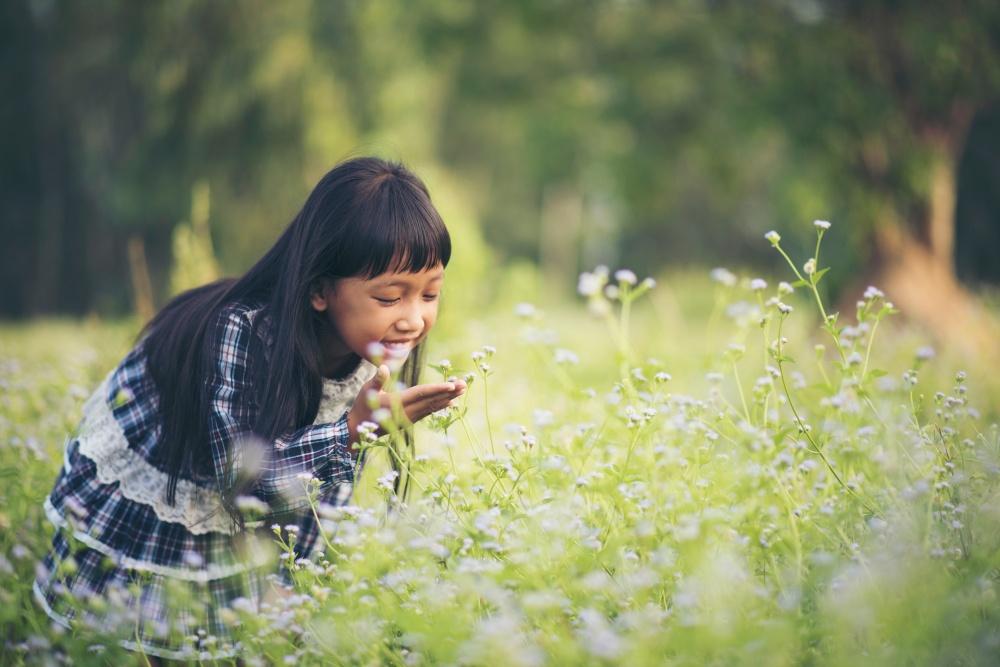 Taking Learning Outdoors: Nature as the Third Teacher