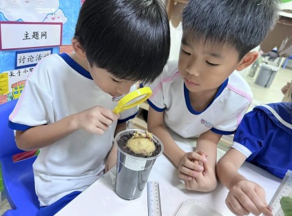 preschool curriculum Singapore